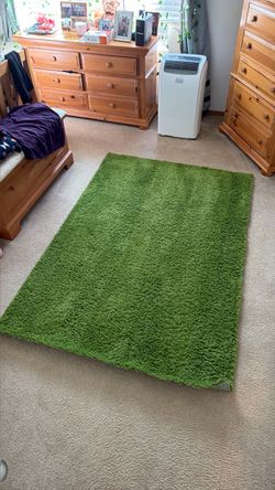 Green area rug