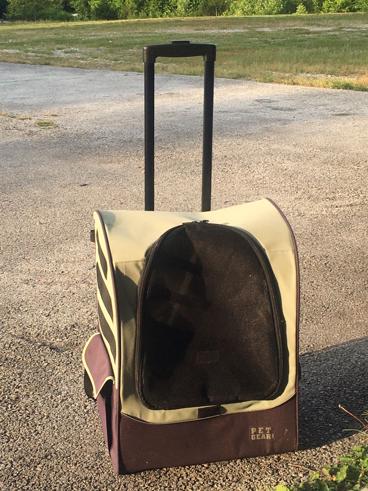 Pet Carrier