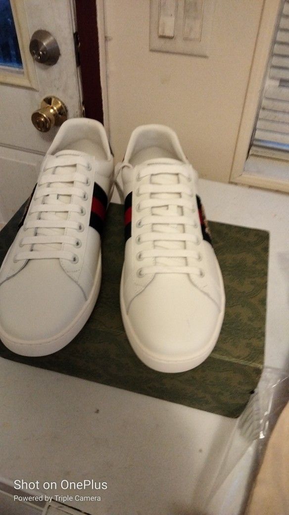 Gucci Size 9 5