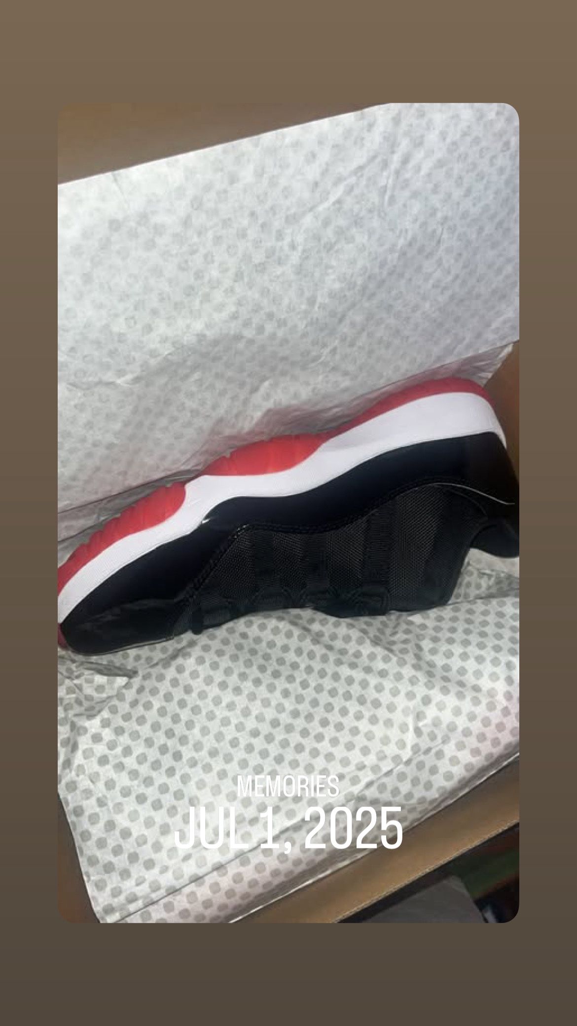 Jordan 11 Bred Low