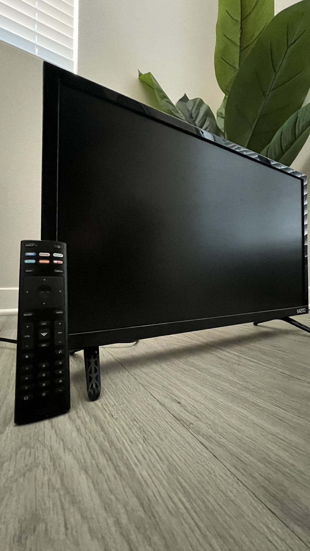 Vizio 22" SmartTV w/ Remote