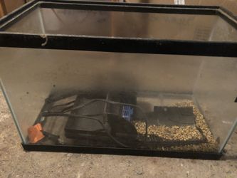 Larger fish tank, with filter