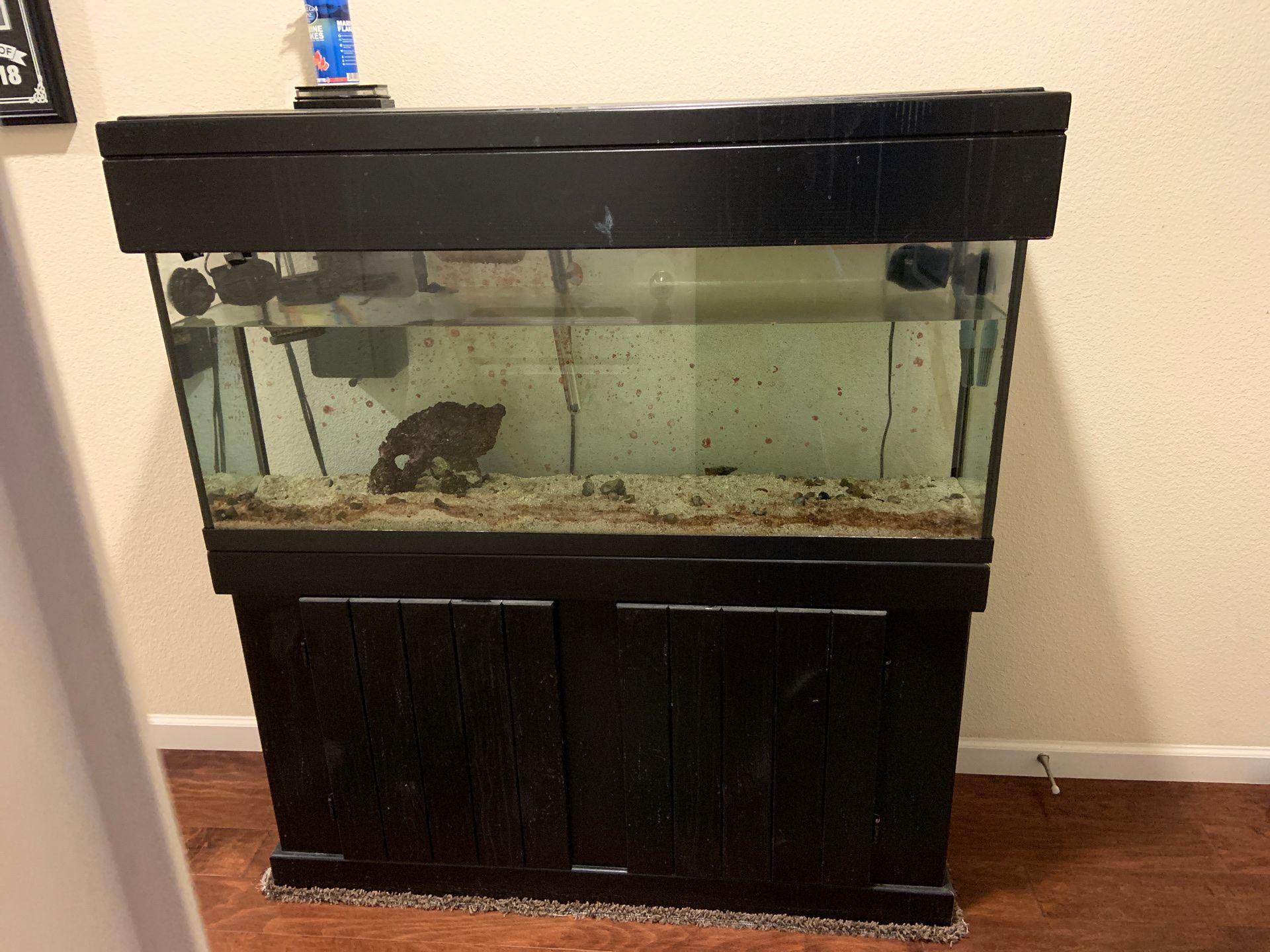 55 gallon saltwater fishtank