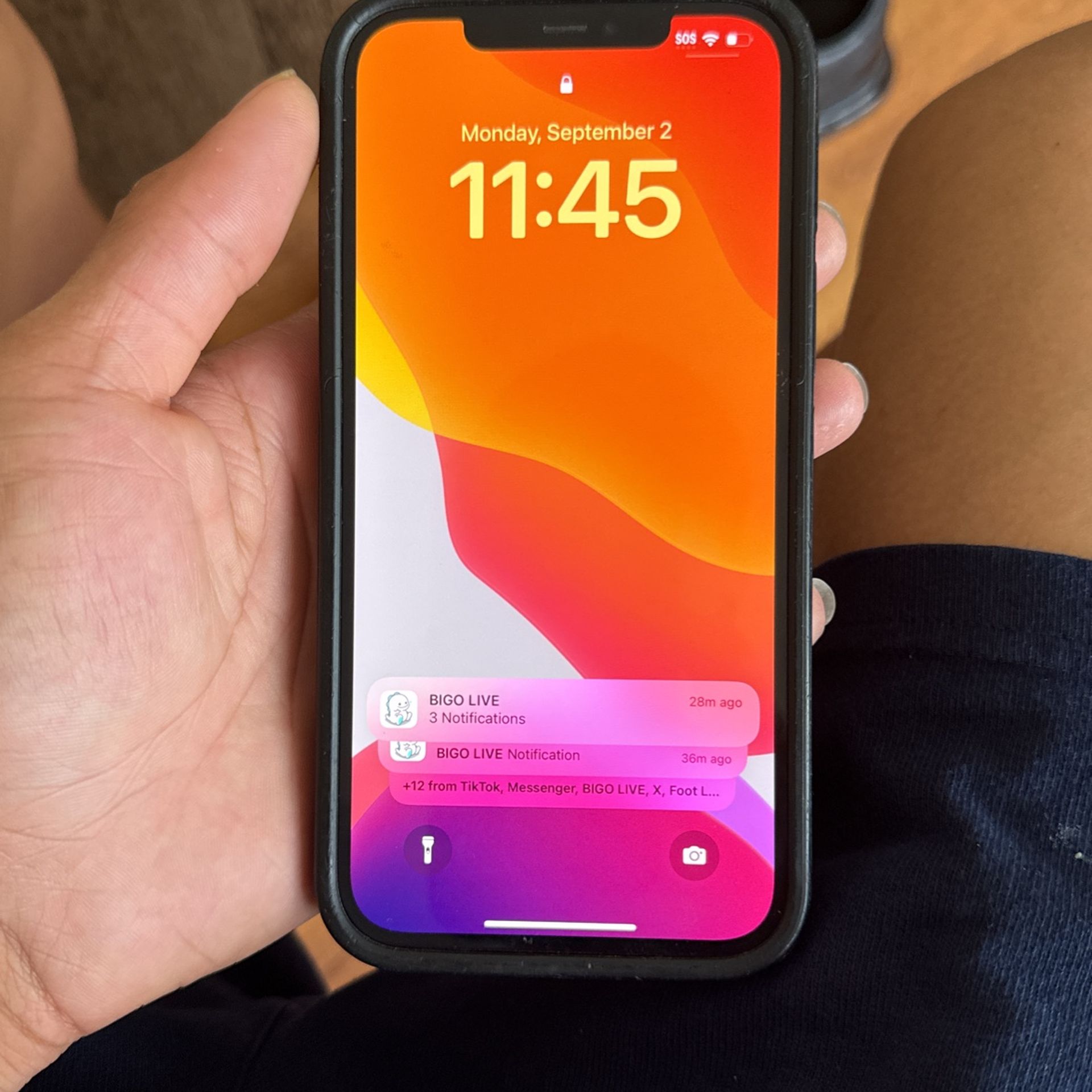 iPhone 12 Pro Max