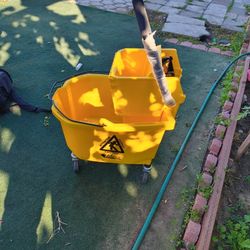 Delamo  Professional