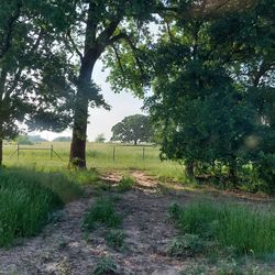 LAND, WILLS POINT, ACRES; Water and electric at the road. Water meter included. Van Zandt county. Approx. 2 miles to the public boat ram