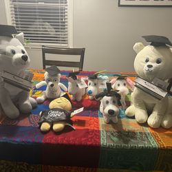 Graduation Gifts 2024 stuffed animal