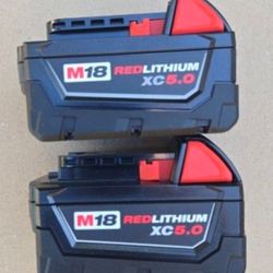 5.0 Ah MILWUAKEE 