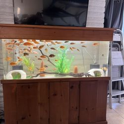 Fish Tank Aquarium Acrylic 125 Gallon 