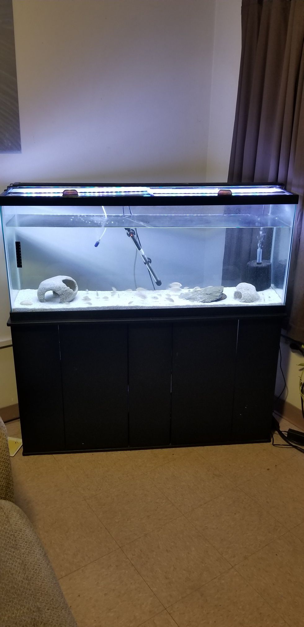55 Gallon Fish Tank/Stand