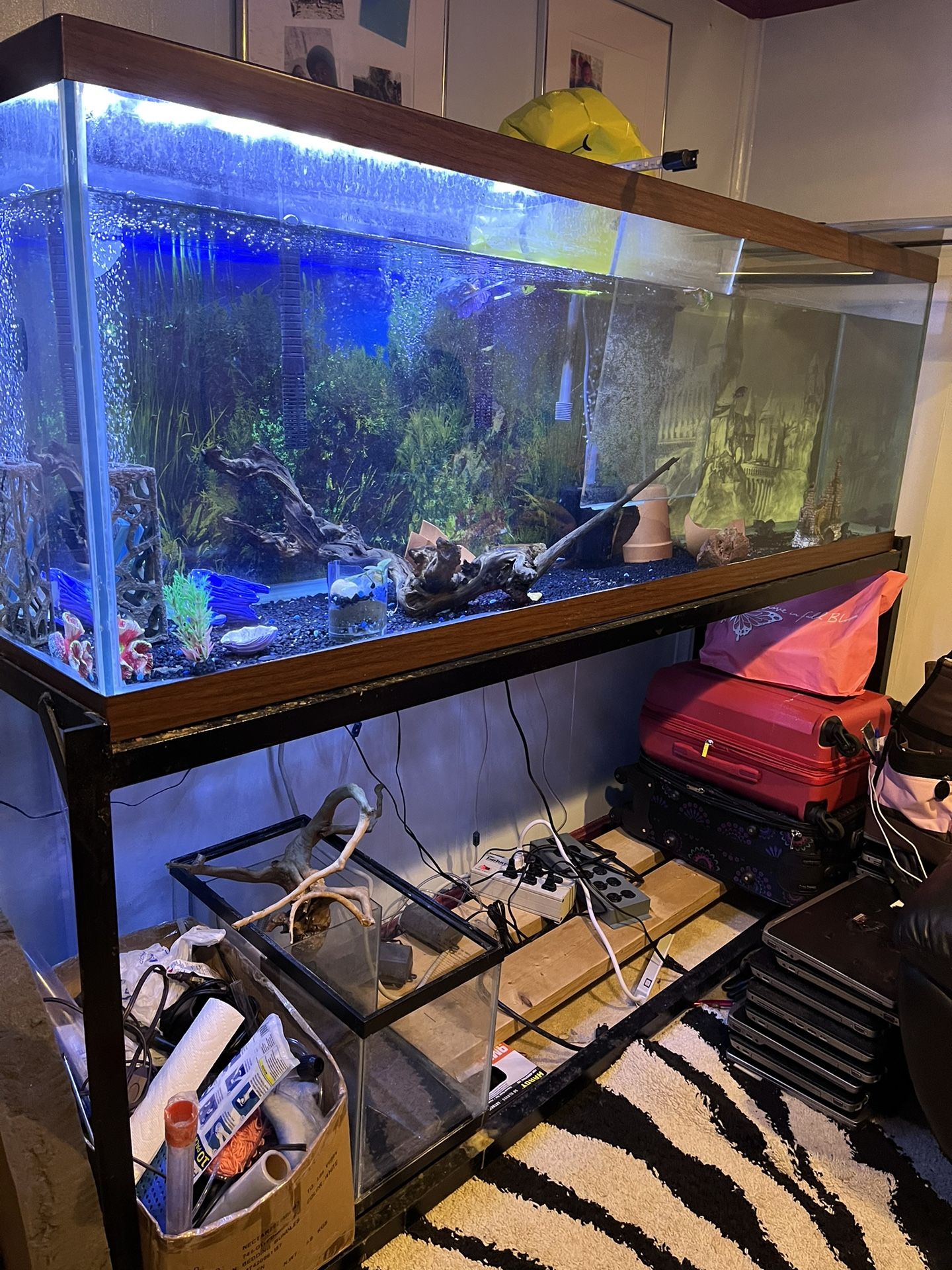 Fish Tank 72" X 18" X 24”