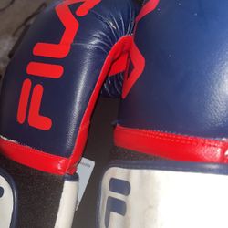 Fila Boxing Mitts 