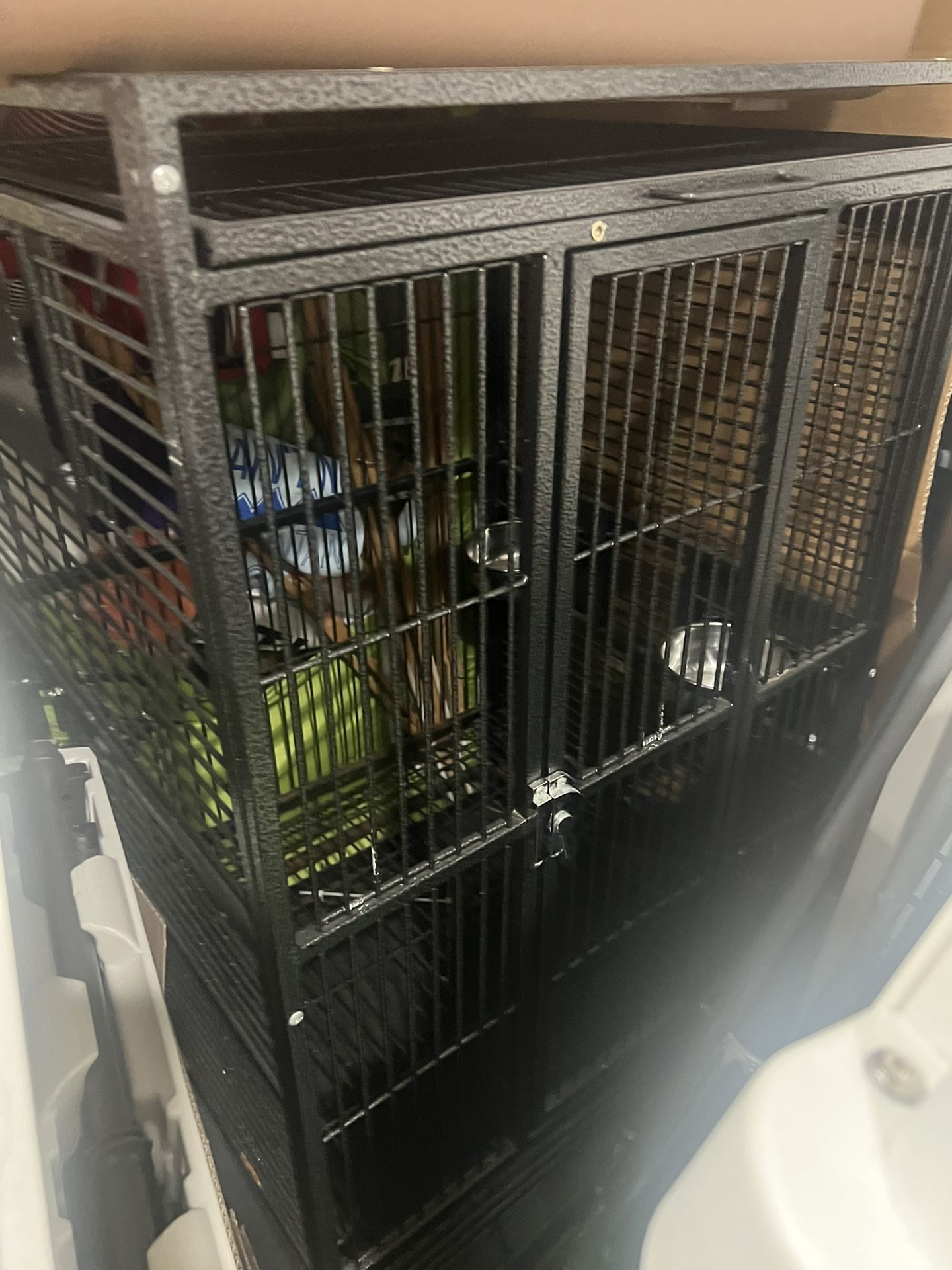 Bird Cage