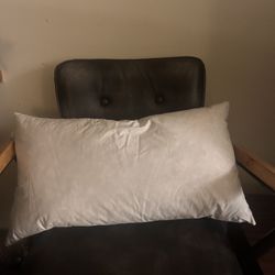 One 15 X 27 IN Pillow Insert 
