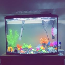 Fish Tank And Accessories 