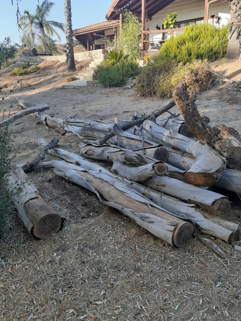 FREE EUCALYPTUS WOOD