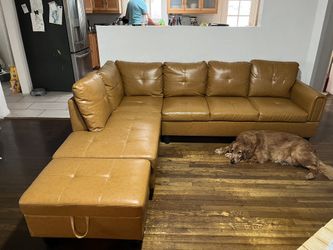 Brown/cognac Couch