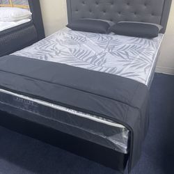 Queen Plush Mattress Only $199. Set Only $299!