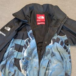 Supreme North Face Lady Liberty Jacket 