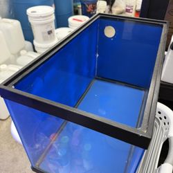 10 Gallon Fish Tanks 