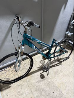 Schwinn bikes