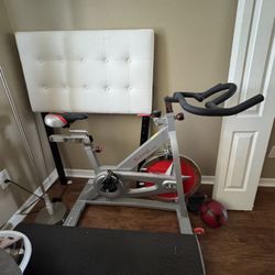 Sunny Fitness Bike