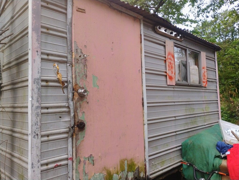 Shed