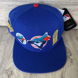 Blue Jays SnapBack Hat$35