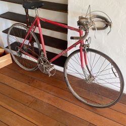 Vintage Schwinn Bike