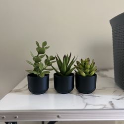 Fake Succulent And Trash Bin