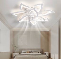 Ceiling fan