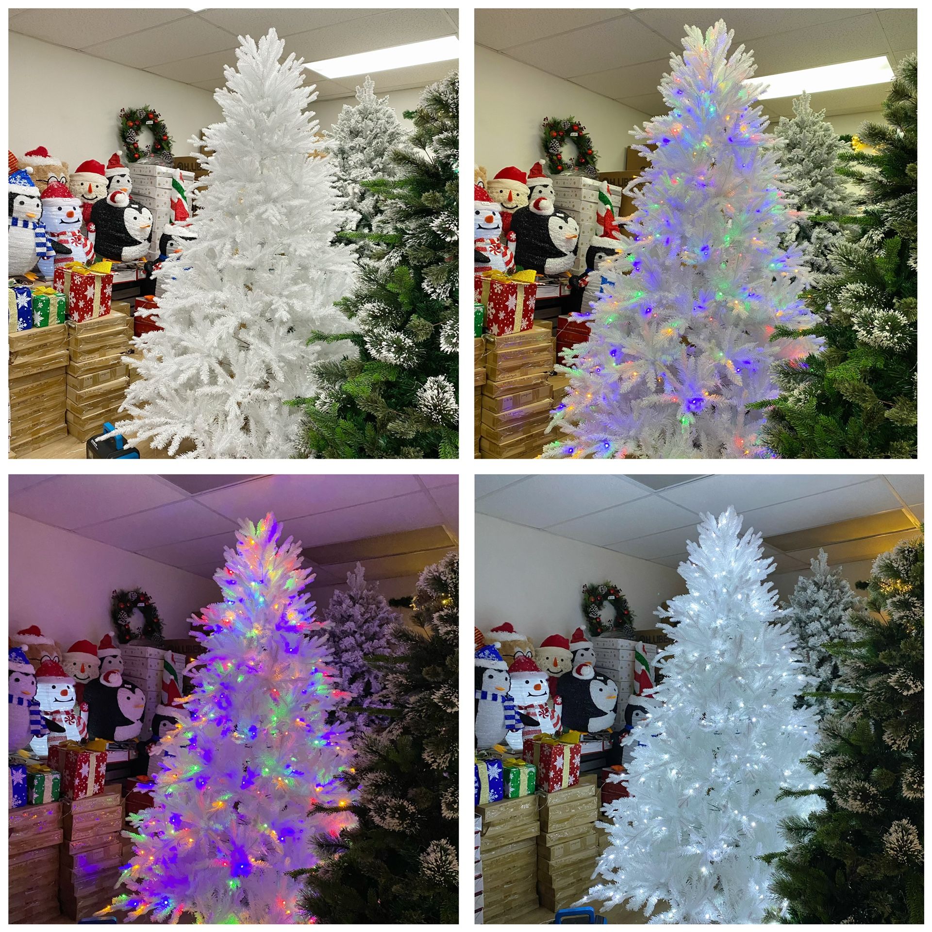 thumbnail image 2 of Prelit Outdoor Christmas Tree Lights With Remote 2 of 12