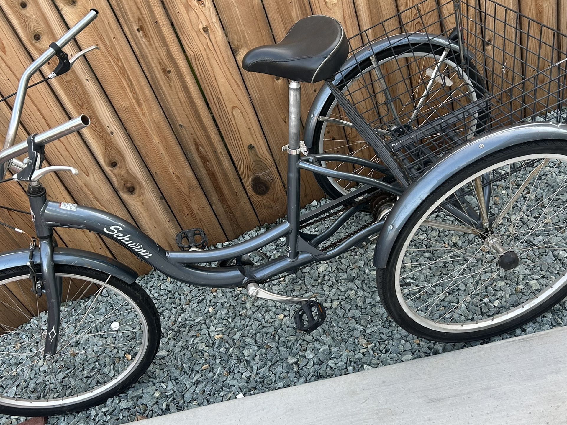 Adult Tricycle 
