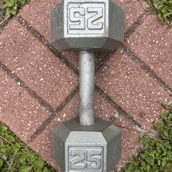 25lb cast iron hex dumbbell