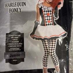 Harley Quinn Aka Harlequinn Honey