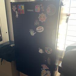 Mini Fridge