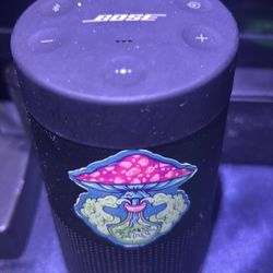 Bose Soundlink Revolve 2