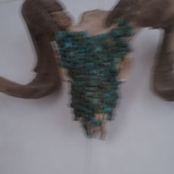 Real Ram Skull Embellished With Turquoise 