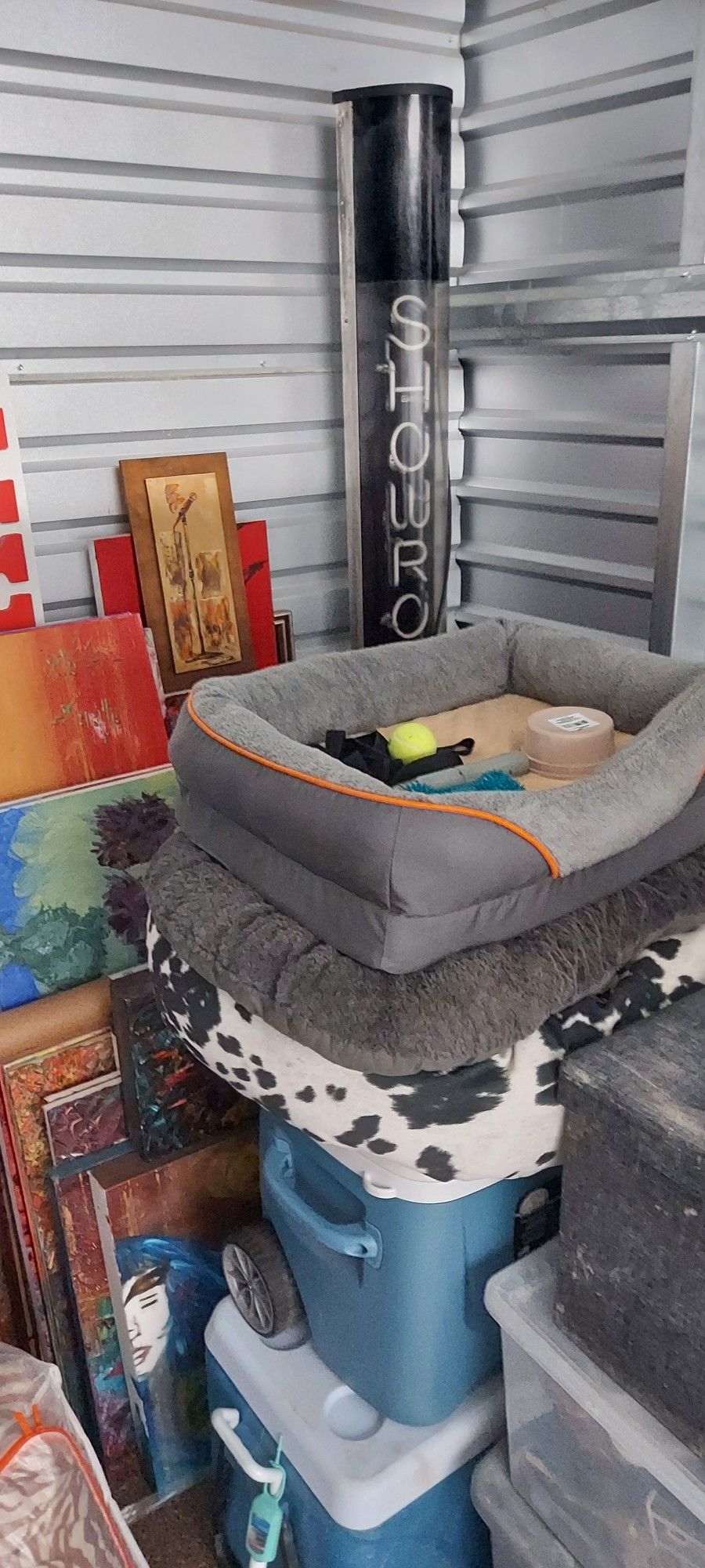 Dog Supplies And Beds