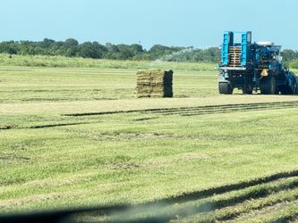 Grass pallets