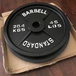 45 Lb Plates