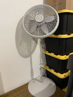 fan