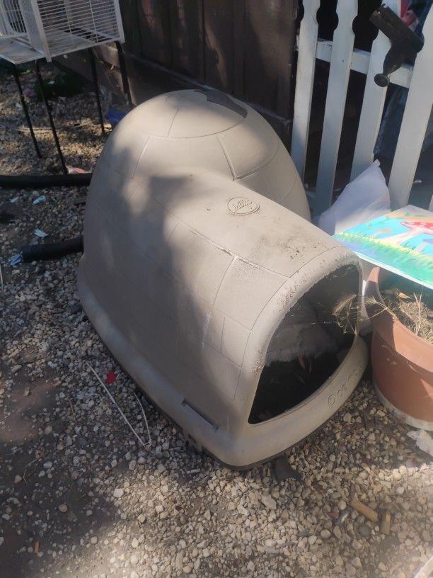 Dog House