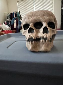 Spirit Halloween 2 faced skull