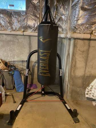 Everlast Punching Bag And Speed Bag With Stand 