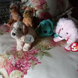 Ty,,,,Beanie Baby S, .$$100 ,for All.,