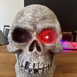 Giant Skull 