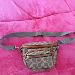 Purse/ Fanny Pack 