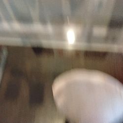 3 Shels Frum The Oshin