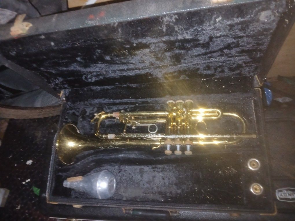 Instruments Trumpit and Saxaphone 